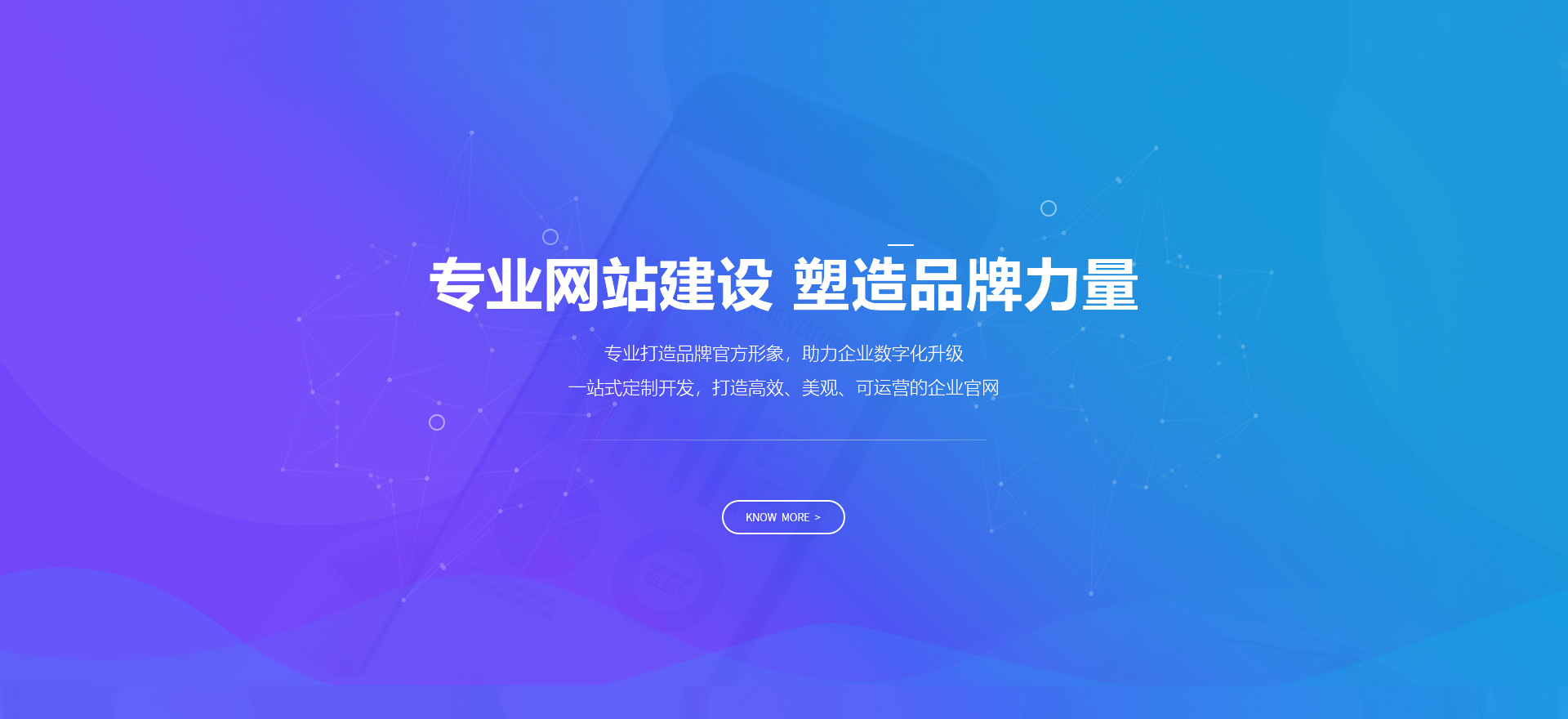 自流井建站-专业网站建设 塑造品牌力量
